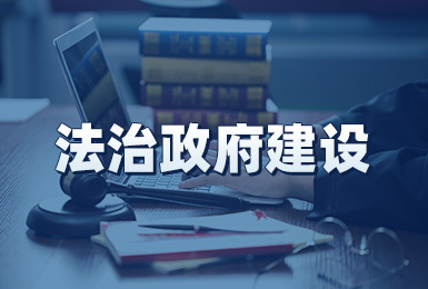 法制政府建设
