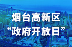 政府开放日