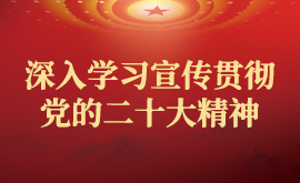 深入学习宣传贯彻党的二十大精神
