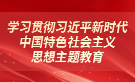 学习贯彻习近平新时 代中国特色社会主义思想主题教育
