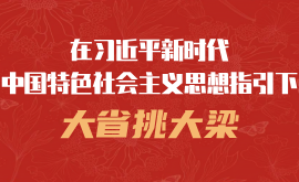 在习近平新时代中国特色社会主义思想指引下 大省挑大梁