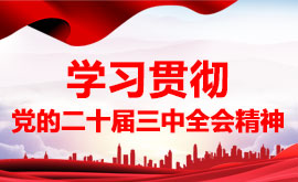 学习贯彻党的二十届三中全会精神