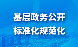 基层政务公开标准化规范化