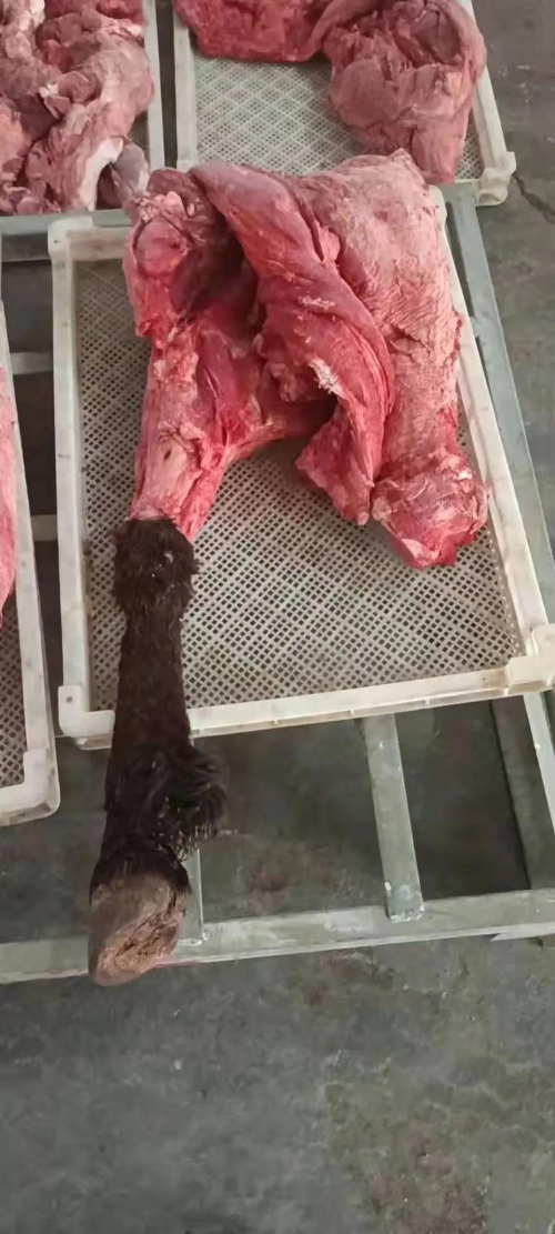 假驴肉嫁接真驴蹄严查